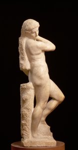 Apollo veya David, c.1530 (mermer) (ayrıca bkz. 79842 ve 230332)